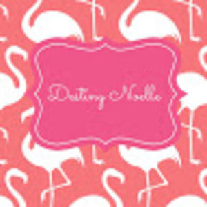 Meet your Posher, Destiny